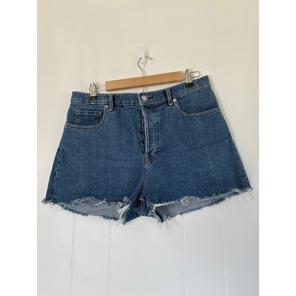 Everlane Cheeky Short High Rise Button Fly Raw Hem Denim Shorts‎ Blue Womens 31